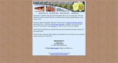 Desktop Screenshot of cactushillmotel.com